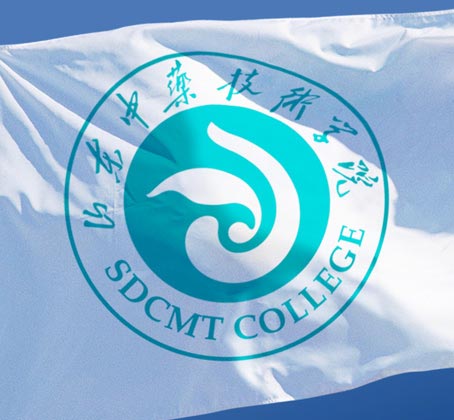 山東中藥技術學院形象識別及30年校慶品牌設計—旗幟設計