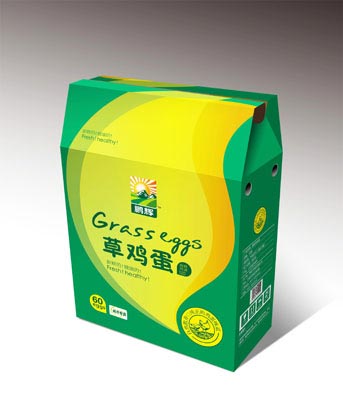 鵬輝雞蛋包裝設(shè)計(jì)—草雞蛋包裝設(shè)計(jì)效果圖