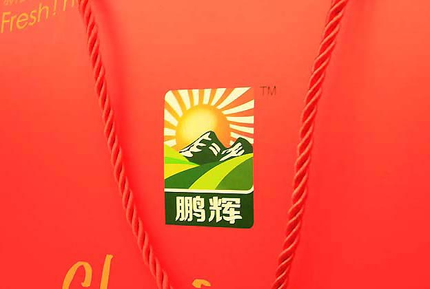 鵬輝雞蛋包裝設(shè)計(jì)—標(biāo)志設(shè)計(jì)展示（一）