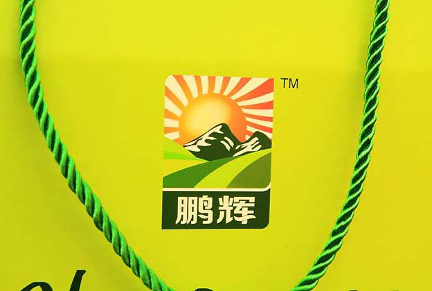 鵬輝雞蛋包裝設(shè)計(jì)—標(biāo)志設(shè)計(jì)展示（二）